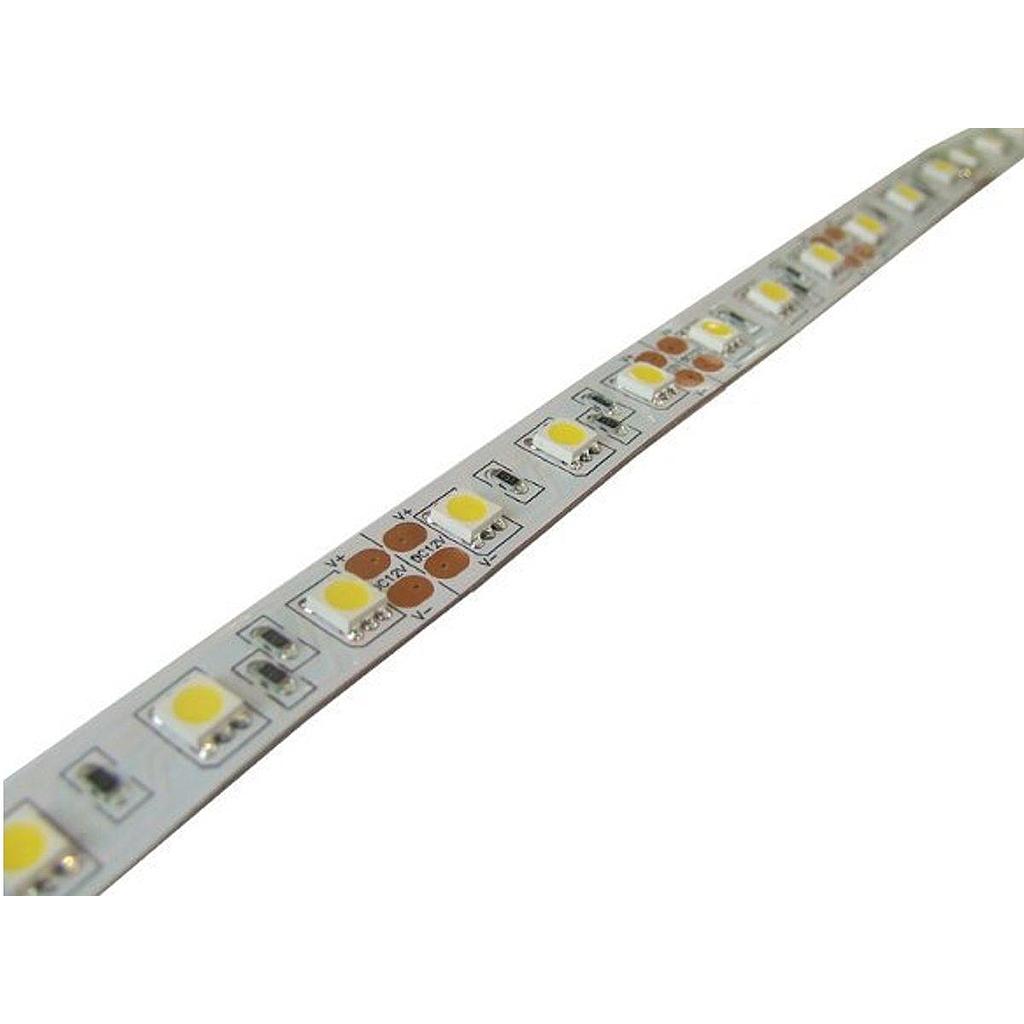 [TCWFN050BF] Striscia LED 5050 Bianco Freddo  12V IP20